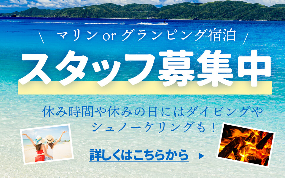 スタッフ募集中!