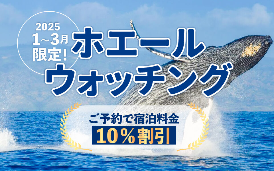 ホエールウォッチング